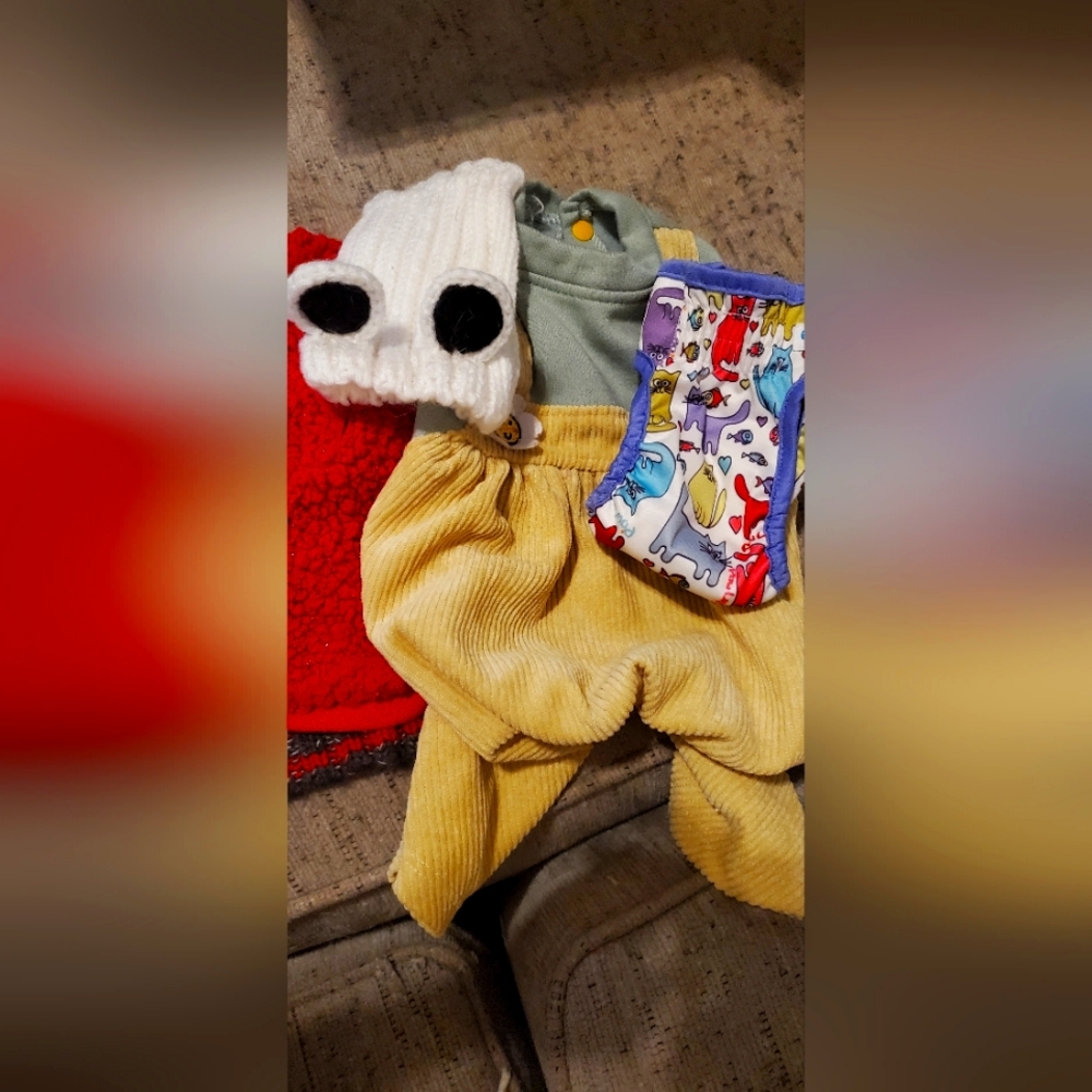 Dog Clothing